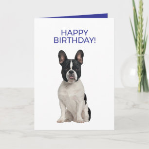 French Bulldog Simple Minimal Happy Birthday Card