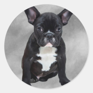 French Bulldog Sitting Watercolor Oil Painting Classic Round Sticker