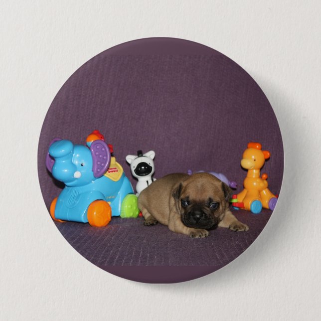 French Bulldog small puppy Bulldog 3 Inch Round Button (Front)