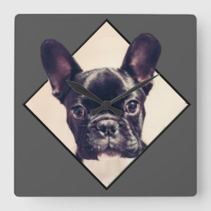 French Bulldog small square wall clock