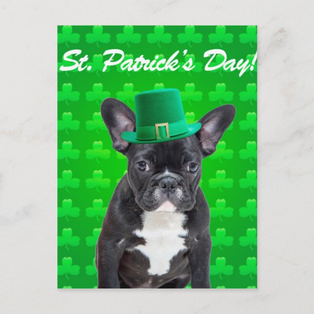 French Bulldog St Patrick's Day Postcard (Front)