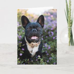 French Bulldog Stands in Flowers Card