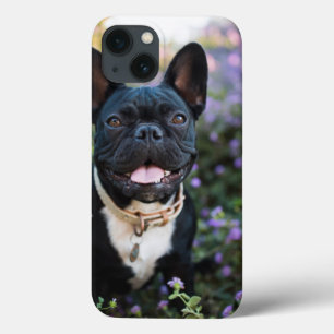 French Bulldog Stands in Flowers iPhone 13 Case