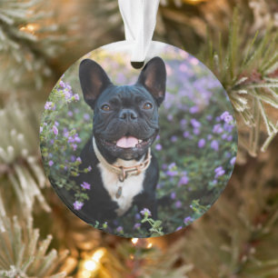 French Bulldog Stands in Flowers Ornament