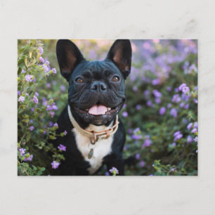 French Bulldog Stands in Flowers Postcard