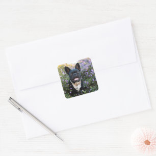 French Bulldog Stands in Flowers Square Sticker