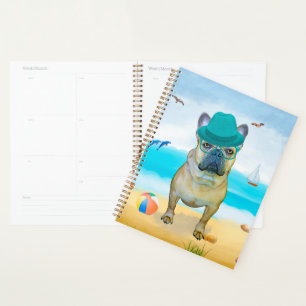 French Bulldog sur la plage