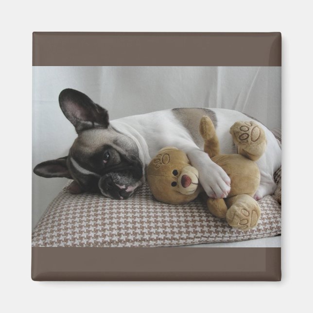 French Bulldog Teddy French Bulldog Magnet (Front)