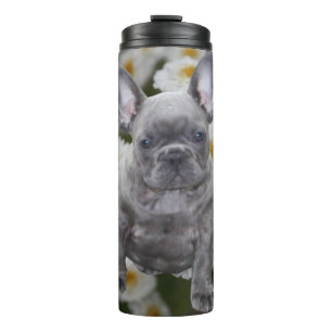 French bulldog thermal tumbler