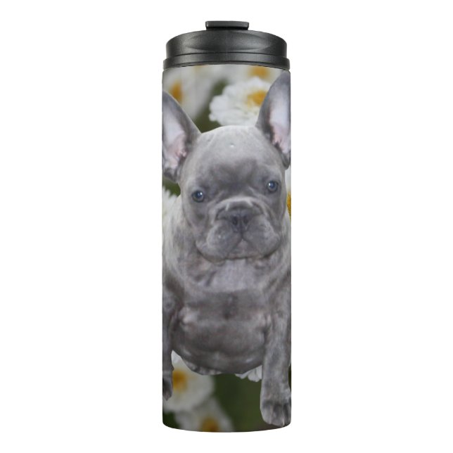 French Bulldog  Thermal Tumbler (Front)