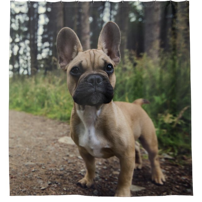 French Bulldog Throw Pillow (Front)