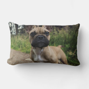 French Bulldog Throw Pillow