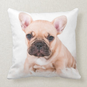 French Bulldog Throw Pillow