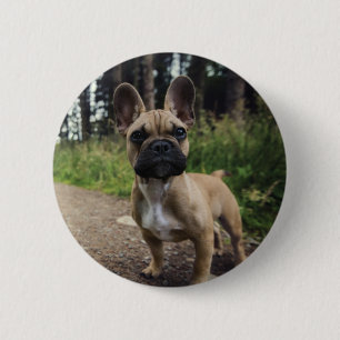 French Bulldog Throw Pillow 2 Inch Round Button