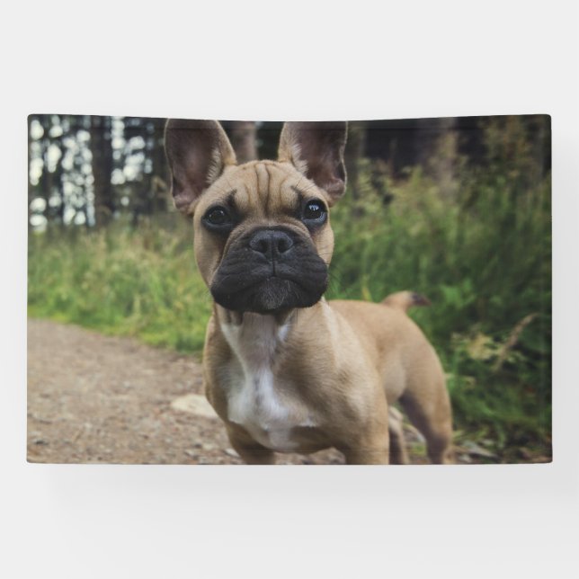 French Bulldog Throw Pillow Banner (Horizontal)