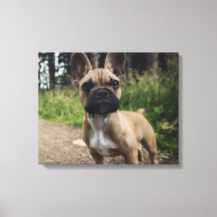French Bulldog Throw Pillow Canvas Print