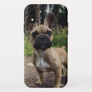 French Bulldog Throw Pillow iPhone XR Case
