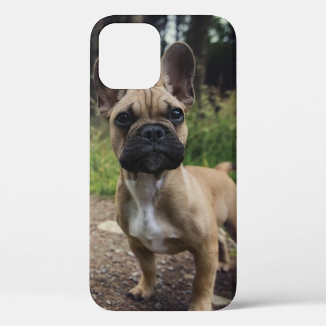 French Bulldog Throw Pillow Case-Mate iPhone Case (Back)