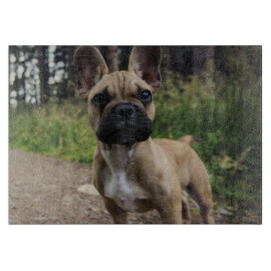 French Bulldog Throw Pillow Cutting Board