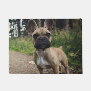 French Bulldog Throw Pillow Doormat