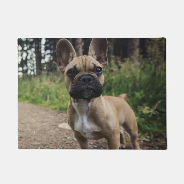 French Bulldog Throw Pillow Doormat (Front)