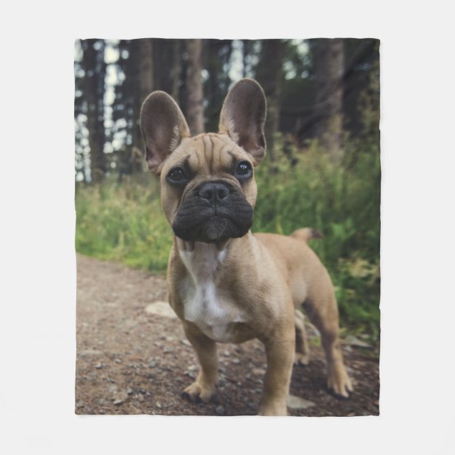 French Bulldog Throw Pillow Fleece Blanket (Front)