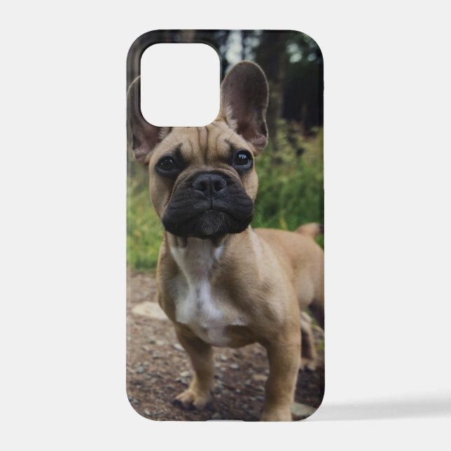French Bulldog Throw Pillow iPhone Case (Back)