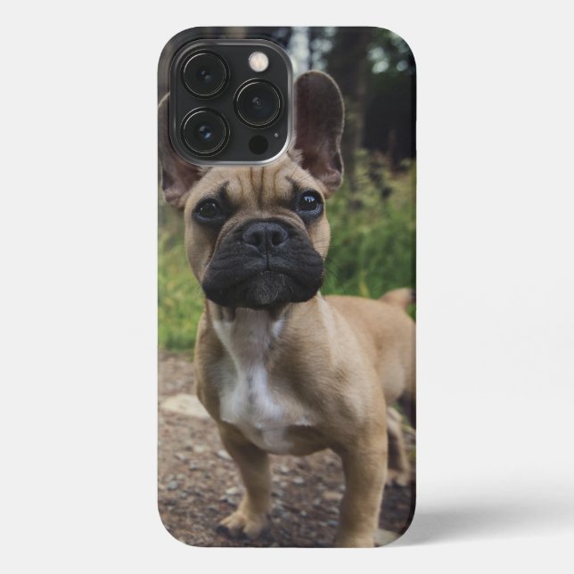 French Bulldog Throw Pillow iPhone Case (Back)
