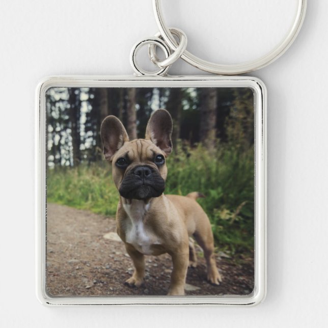 French Bulldog Throw Pillow Keychain (Front)