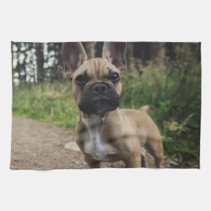 French Bulldog Throw Pillow Kitchen Towel