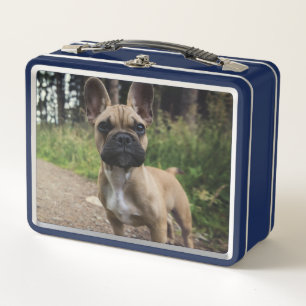 French Bulldog Throw Pillow Metal Lunch Box