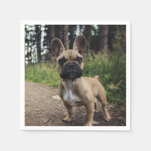 French Bulldog Throw Pillow Napkin (Front)