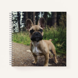 French Bulldog Throw Pillow Notebook