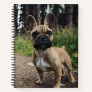 French Bulldog Throw Pillow Notebook