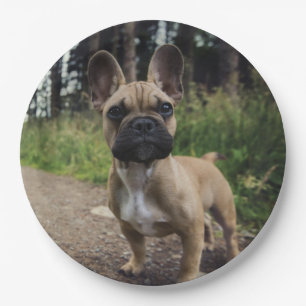 French Bulldog Throw Pillow Paper Plate