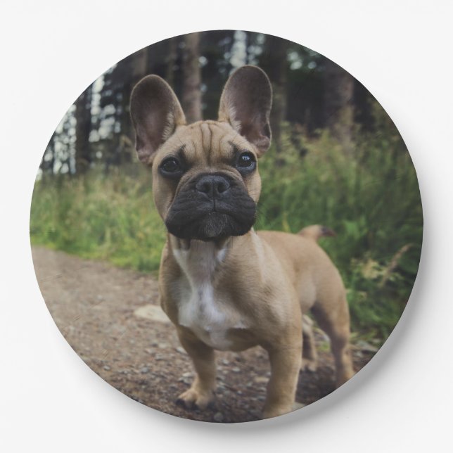 French Bulldog Throw Pillow Paper Plate (Front)