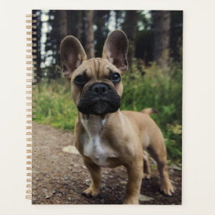 French Bulldog Throw Pillow Planner