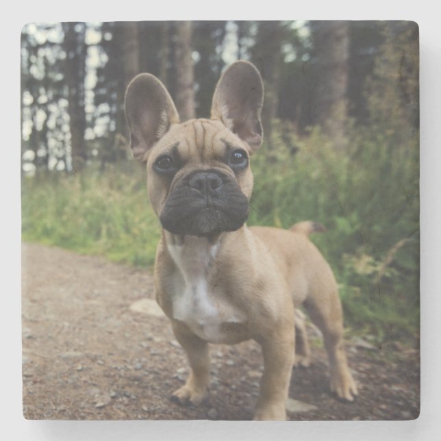 French Bulldog Throw Pillow Stone Coaster (Front)