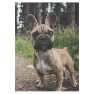 French Bulldog Throw Pillow Tablecloth
