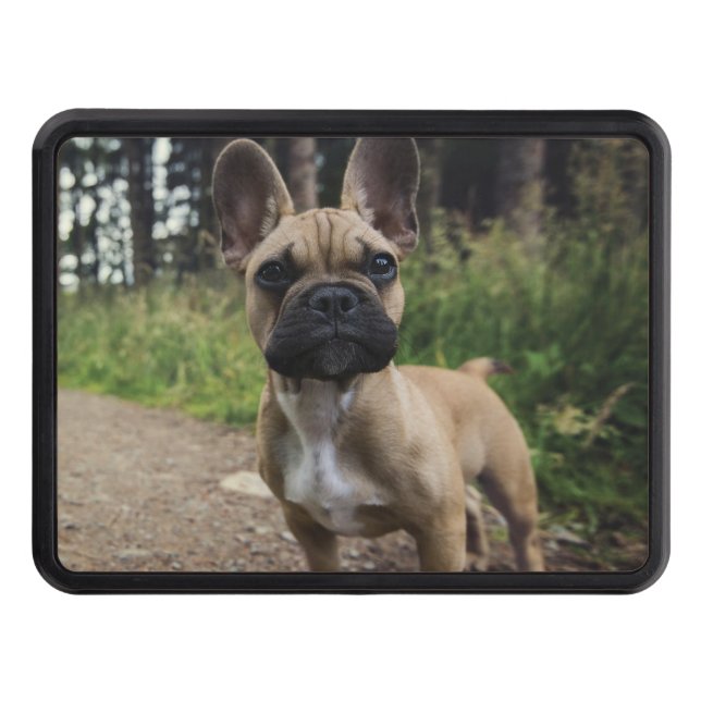 French Bulldog Throw Pillow Trailer Hitch Cover (Front)