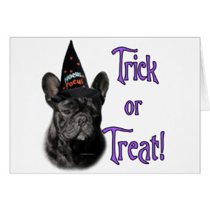 French Bulldog Trick