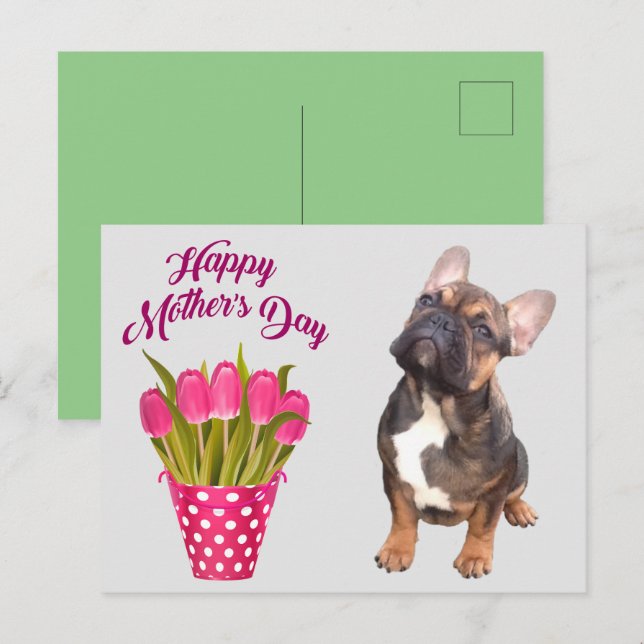 French Bulldog Tulips French Bulldog Postcard (Front/Back)