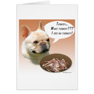 French Bulldog Turkey