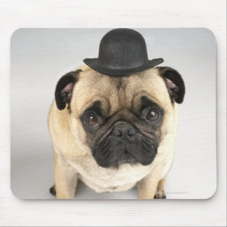 French bulldog wearing bowler, studio shot mouse pad