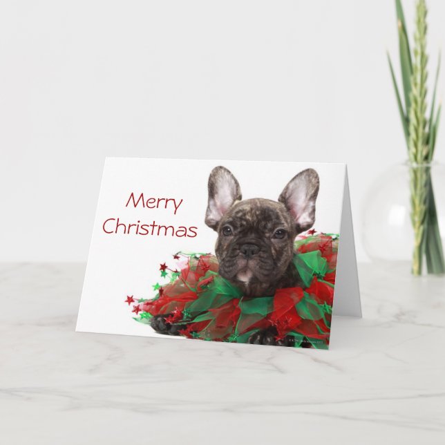 French bulldog wearing Christmas collar Holiday Card (Front)