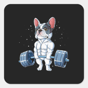 French Bulldog Weightlifting Funny Deadlift Gym Square Sticker