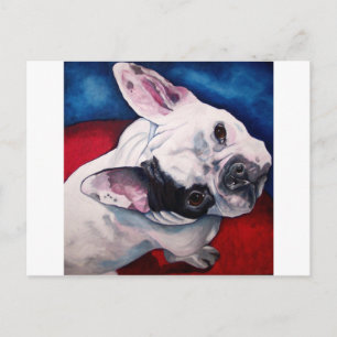 French Bulldog, White and Black Postcard