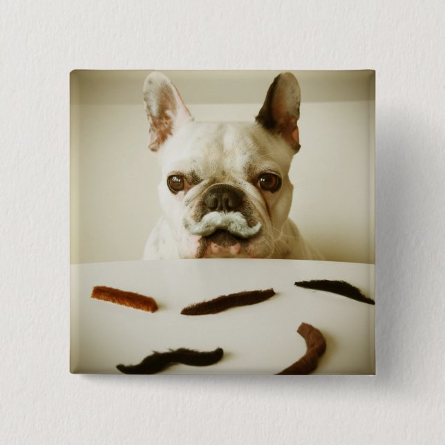 French Bulldog With A Moustache 2 Inch Square Button (Front)