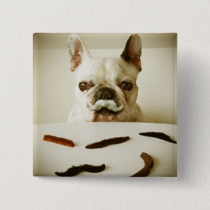 French Bulldog With A Moustache 2 Inch Square Button