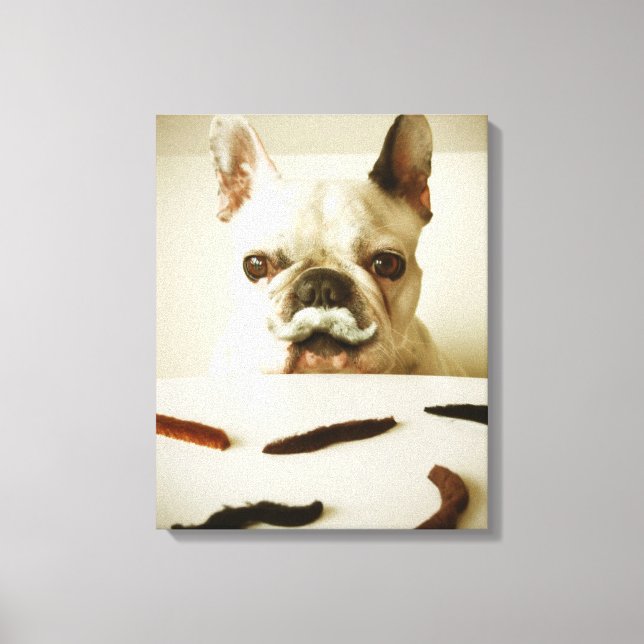 French Bulldog With A Moustache Canvas Print (Front)